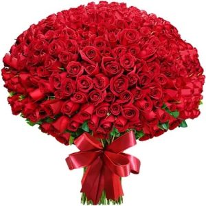 Buquê com 500 Rosas. Cod. B-500
