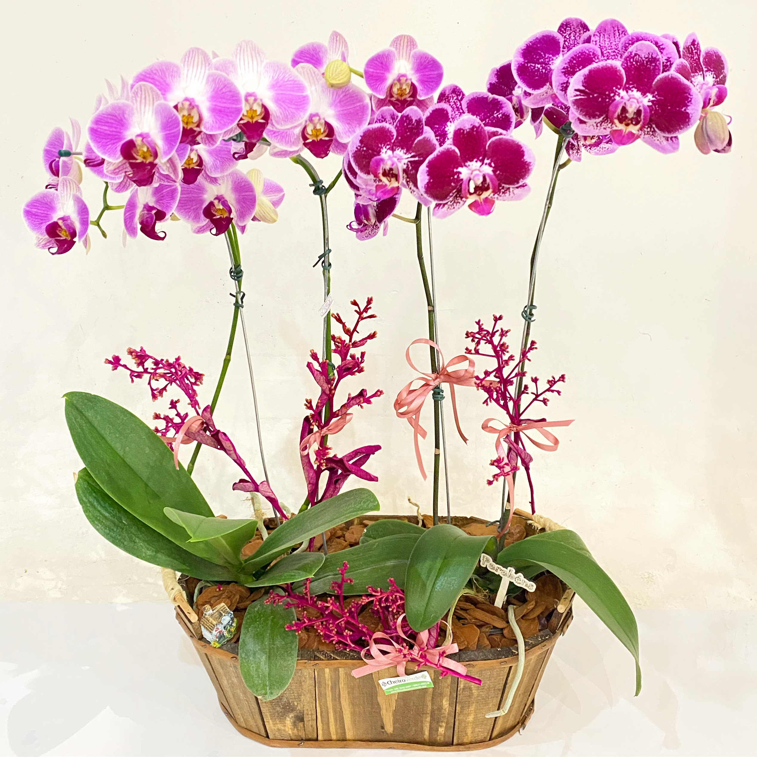 ,,Jardim de Orquídeas. Cod. O-977