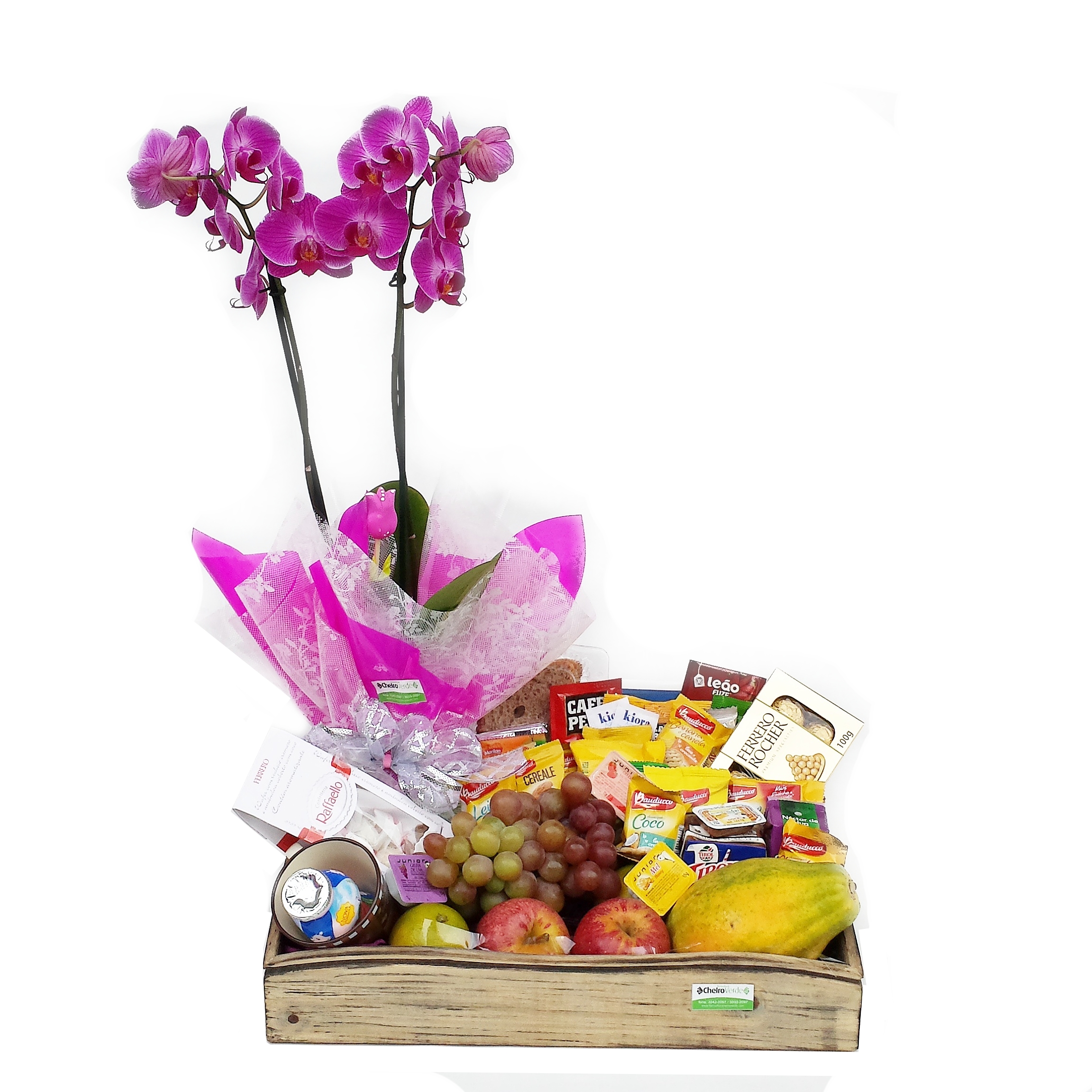 Cesta Café Phalaenopsis Cod. C-047