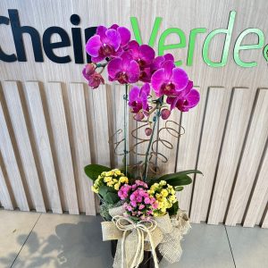.Orquídea Belíssima Rústica Cod. O-029