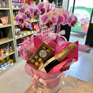 Orquídea Chandon. O-911