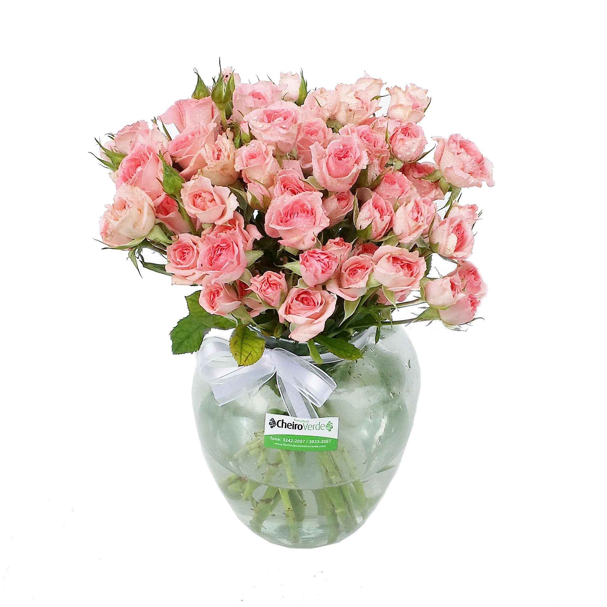 .Mini Rosas Cod. A-024