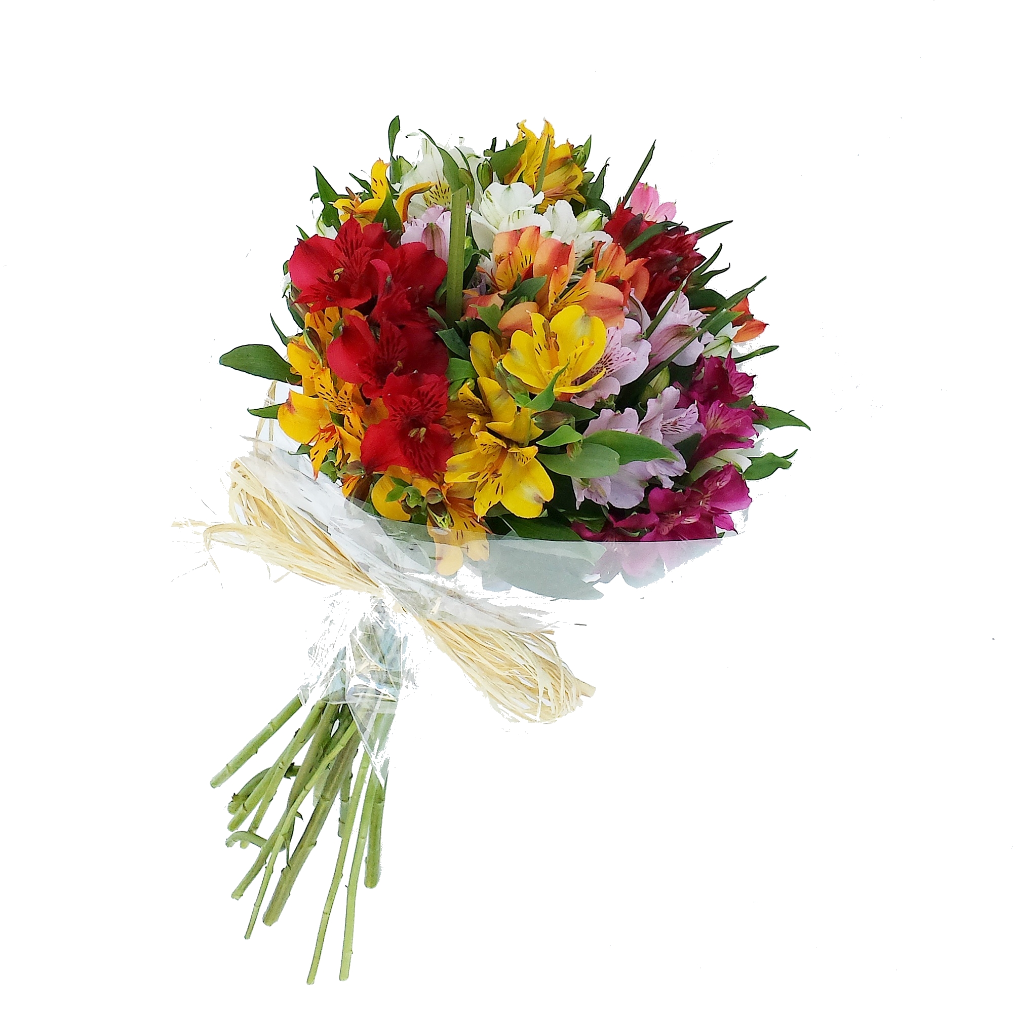 É Uma Festa de Alstroemérias! Cod. B-040