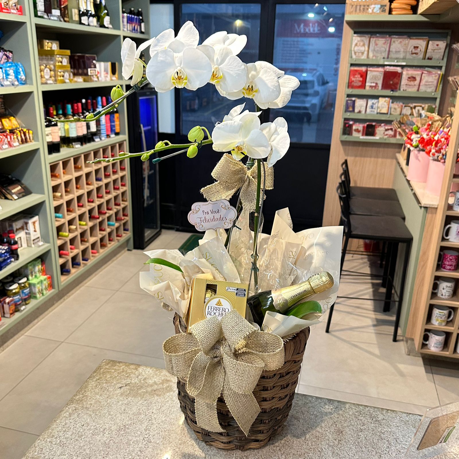 Orquídea Majestosa. Cod O-590
