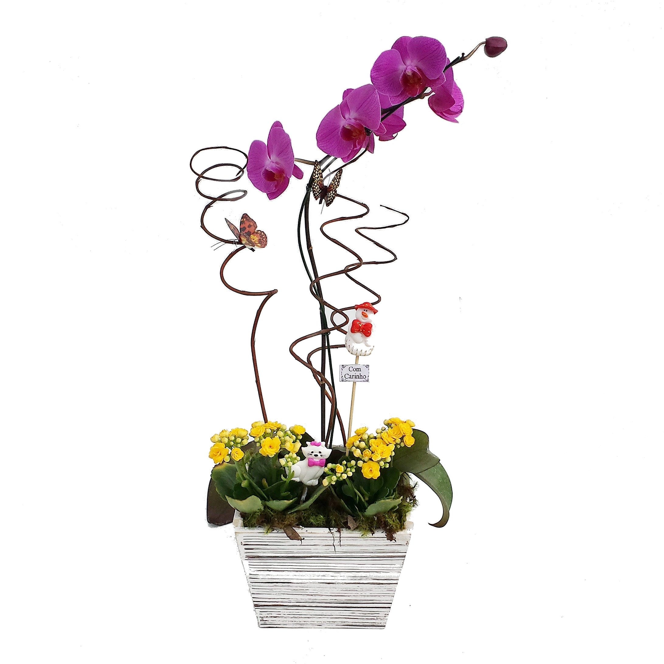 Orquídea Roxa com Mini Calandivas O-030 | Floricultura Cheiro Verde •  Palhoça / SC • Compre online!